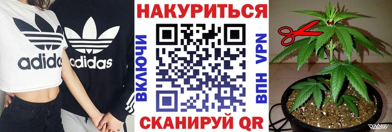 Конопля конопля  Купить закладки  Колпашево 